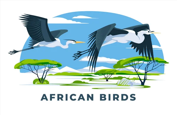 Dwie Afrykańskie Czaple Latające Nad Krajobrazem Sawanny Afrykańska Przyroda Egzotyczne — Wektor stockowy