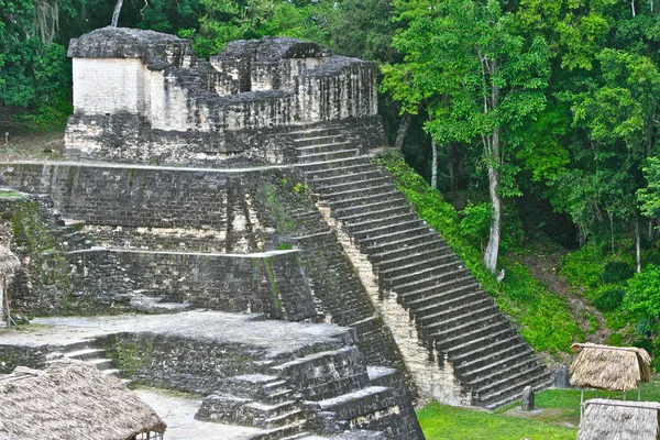 Piramida Tikal w Gwatemali — Zdjęcie stockowe