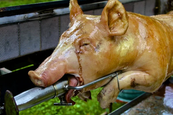 Schwein am Spieß — Stockfoto