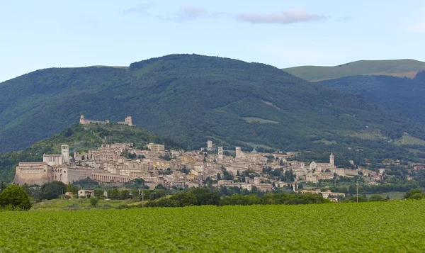 Assisi, Itálie Panorama — Stock fotografie