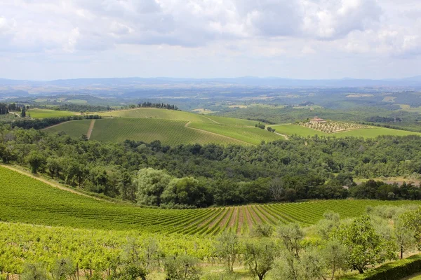 Toscaanse wijn land — Stockfoto