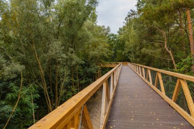 Küçük Szklarka nehri üzerindeki ağaçlar arasında köprü