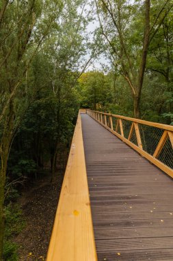 Küçük Szklarka nehri üzerindeki ağaçlar arasında köprü