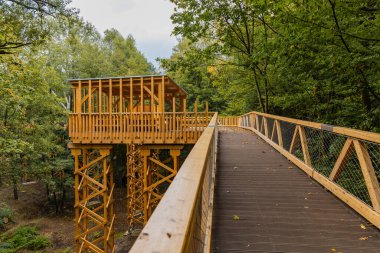 Küçük Szklarka nehri üzerindeki ağaçlar arasında köprü