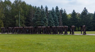 Poznan, Polonya - 2 Ekim 2020: Poznan 'daki Hisar Parkı' nda Nierozpoznani kompleksi
