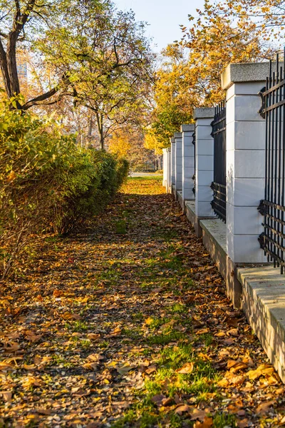 Sonbaharda çit ve çit arasında kısa yol