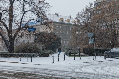 Wroclaw, Polonya - 3 Aralık 2020: Kosciuszki meydanında kar yağarken ağaçlar ve çalılar arasında yürüyen adam