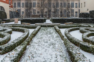 Wroclaw, Polonya - 3 Aralık 2020: Yeşil çalılarla dolu Ossolineum Meydanı 'nda küçük bir bahçe.