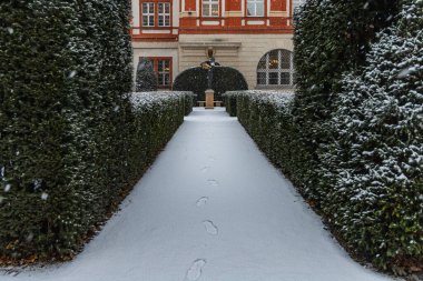 Wroclaw, Polonya - 3 Aralık 2020: Ossolineum Meydanı 'ndaki yüksek yeşil çitler arasındaki yolda taze kar üzerinde yalnız ayak izleri