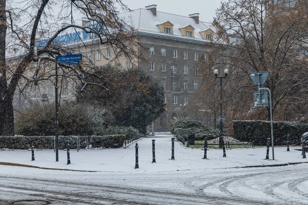 Wroclaw, Polonya - 3 Aralık 2020: Kosciuszki Meydanı 'ndaki dar sokaklar karlı havada karlı havada ağaçlar ve çalılar