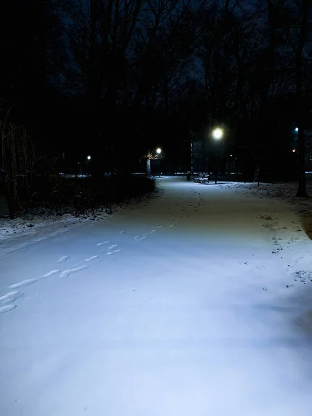 Some Footsteps Fresh Snow Dark Path Park — стоковое фото