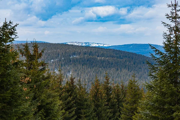 Hermoso Panorama Montañas Cubiertas Nieve Sobre Altos Árboles Viejos —  Fotos de Stock