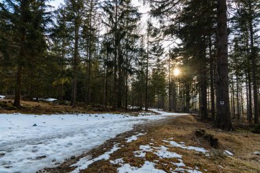 Bulutlu bir sabahta karla dolu uzun dağ yolu.