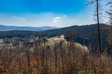Tepelerin ve dağların güzel güneşli manzarası Taze çimen ve çalılarla dolu