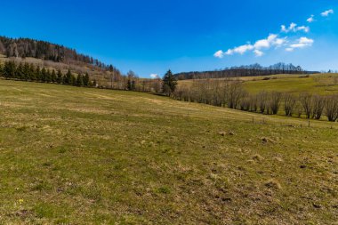 Tepelerin ve dağların güzel güneşli manzarası Taze çimen ve çalılarla dolu