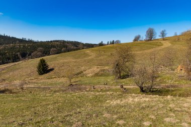 Tepelerin ve dağların güzel güneşli manzarası Taze çimen ve çalılarla dolu