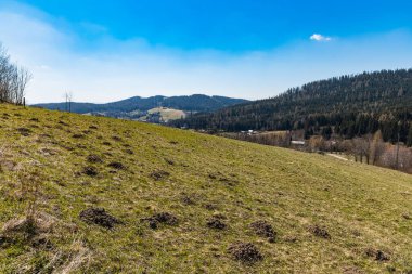 Tepelerin ve dağların güzel güneşli manzarası Taze çimen ve çalılarla dolu