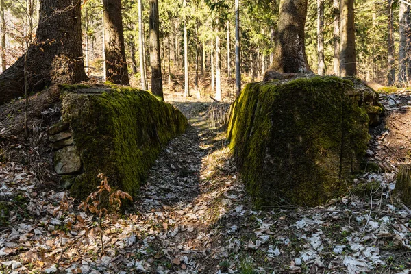 Vecchie Fondamenta Cemento Rovine Vecchi Edifici Pieni Muschio Verde — Foto Stock