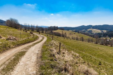 Etrafı eski yüksek ağaçlarla dolu uzun dağ patikaları
