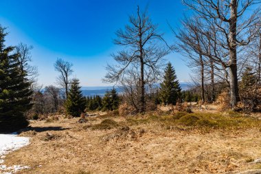 Güneşli sabahlarda dağların güzel manzarası