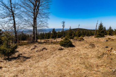 Güneşli sabahlarda dağların güzel manzarası