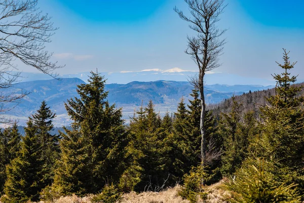 Güneşli sabahlarda dağların güzel manzarası