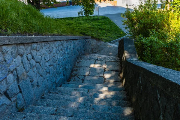 Escadas Pedregosas Com Grama Verde Arbustos Redor Luz Solar Espaço — Fotografia de Stock