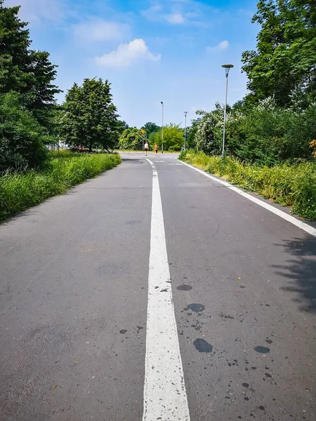 Parkta yeşil çalılar ve ağaçlarla kaplı beyaz düz bir çizgi var.