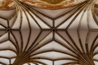 Kamieniec Zabkowicki, Polonya - Haziran 2021: Eski yenilenmiş Marianna Oranskas Sarayı