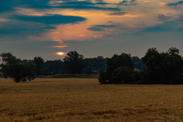 Beautiful Cloudy Sunrise Big Yellow Field Trees Forest — ストック写真