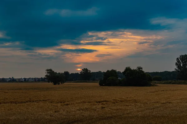Schöner Bewölkter Sonnenaufgang Über Dem Großen Gelben Feld Und Den — Stockfoto
