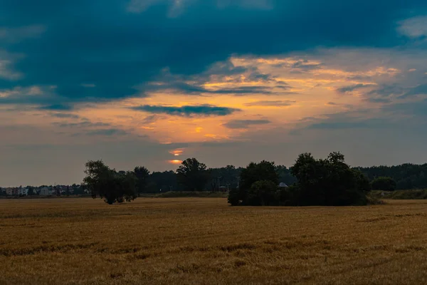 Beautiful Cloudy Sunrise Big Yellow Field Trees Forest — Stock Fotó