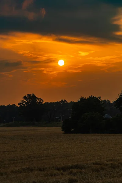 Beautiful Cloudy Sunrise Big Yellow Field Trees Forest — Fotografia de Stock