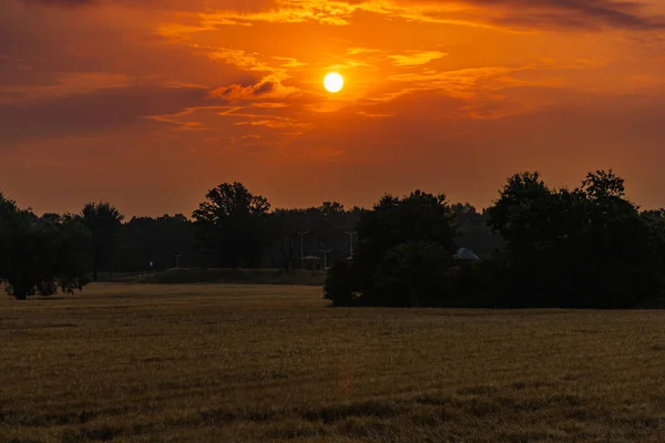 Beau Lever Soleil Nuageux Sur Grand Champ Jaune Arbres Forêt — Photo