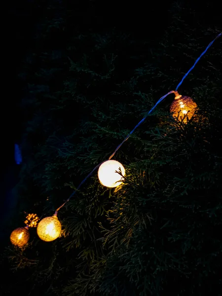 Petites Boules Lumineuses Suspendues Arbre — Photo