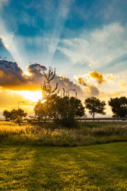 Gün batımında ağaçların arkasında parlayan güzel güneş