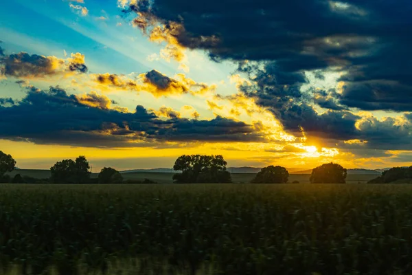 Beautiful shining sun behind big clouds at sunset over big fields