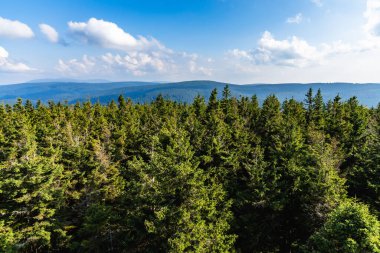 Altın Dağlar 'ın güzel manzarası Czernica Dağı' ndaki gözlem kulesinin tepesinden görülüyor.