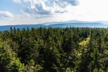 Altın Dağlar 'ın güzel manzarası Czernica Dağı' ndaki gözlem kulesinin tepesinden görülüyor.
