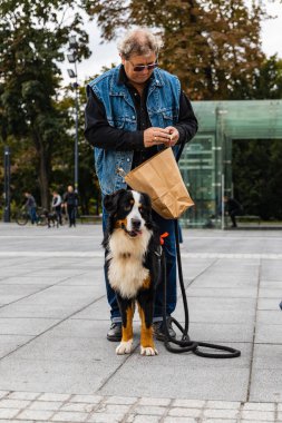 Wroclaw, Polonya - Eylül 2022: Yüzlerce havlayan ve gülümseyen köpekle şehir merkezinde köpek geçidi