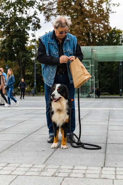 Wroclaw Polen September 2022 Hundparad Centrum Med Hundratals Skällande Och — Stockfoto