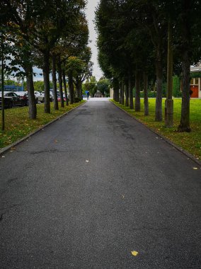 Wroclaw, Polonya - Eylül 2021: Centennial Hall 'un yanında her iki tarafında da ağaçlar olan küçük patika