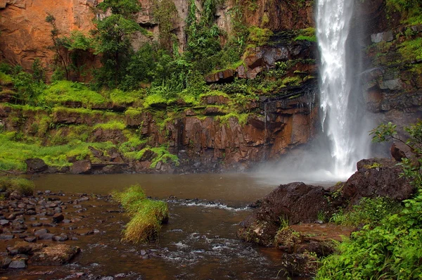ローン・クリークの滝｜南アフリカ — ストック写真