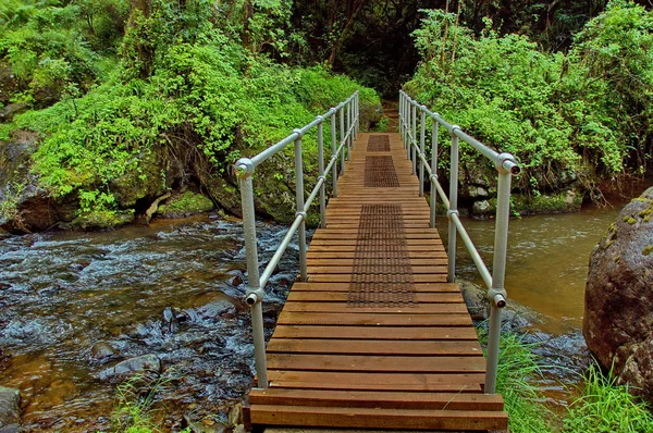 Ponte panoramico sotto la caduta del torrente Lone — Foto Stock