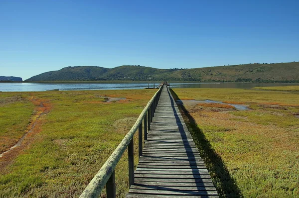 Knysna, Rota do Jardim, África do Sul . — Fotografia de Stock