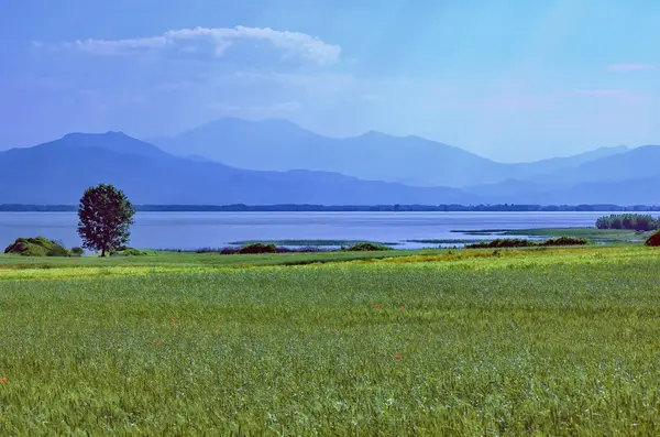 Kerkini jezero eco-oblast v nord Řecko řeky struma — Stock fotografie