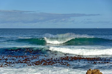 Atlas Okyanusu kıyısında, cape town