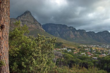 Cape Town'a Masa Dağı, doğal yoldan görüntüleyin.