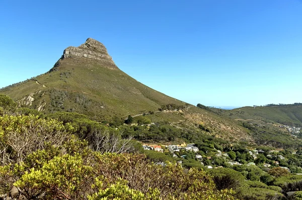 Aslan başı ve sinyal tepesi, cape town — Stok fotoğraf