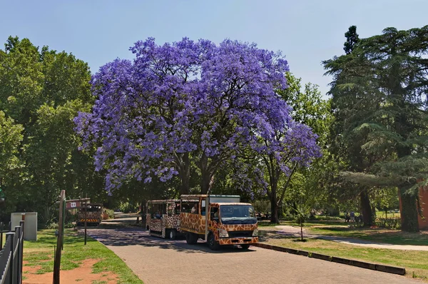 Look of Johannesburg zoo, South Africa — Stock Photo, Image